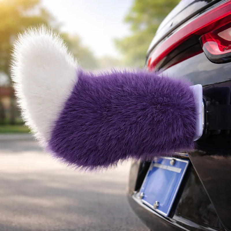 Elevate Your Ride with Dynamic Motion