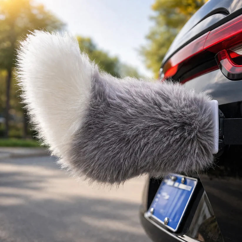 Motorcycle & Car Moving Tail